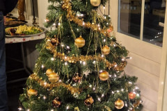 IMG-20251217-WA0014